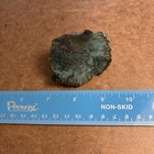 Zimbabwe Petrified Wood Green Chromium Woodworthia Specimen
