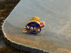 Vintage Nasa 20 Year Employee Service Pin W red Color Stone