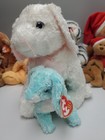 Ty Beanie Baby Spring 2000 And Buddy Spring Bunny Rabbits New And Clean