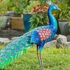 39  Metal Peacock  Steel  Garden Bird Sculpture  Colorful  Backyard Decoration
