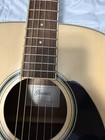 Ibanez Performance Series Pf15lnt Dreadnought Acoustic Guitar - Natural