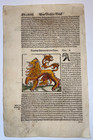Lion In Africa 1564 Sebastian Munster Antique Engraved Plate 16th Century