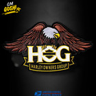 Large Eagle Gold Patch   Harley Davidson Owners Group Hog H o g  10 5 x6  Size