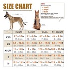 Dog Wheelchair  For Back Legs Sz Xxs 