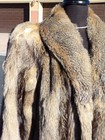 L  12-14  Real Fox Fur Jacket  Women s Hip-length Beige black  Soft  Euc   2167 