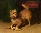 Handmade Old Master-art Antique Oil Painting Animal Portrait Dog On Canvas