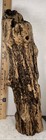 Driftwood Unusual Black Coloring See Pictures Aquarium Reptile Enclosure  Obo