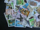 Sri Lanka Collection Of 60 Different  Check Them Out 