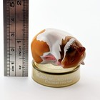 Hamsters Lunch 1 5 Golden Hamster  Bottle Cap Figure Japan Exclusive Kaiyodo  2