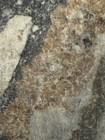 Nwa  11273  Lunar Meteorite  Feldspathic Breccia  62 4 Gram Complete Slice