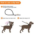 Slip Lead Dog Leash  5 Ft Dog Training Leash No Pull Dog Leash Pet Rope Nylon