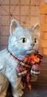 Vtg Cat Figure Sitting Grey Textured Green Eyes Orange Bow Hobbyist
