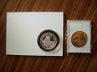 Nevada State Museum  999 Pure Silver Medallion   Additional Pure Brass Version  