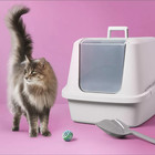 Enclosed Cat Litter Box - Xl -gray- Up up