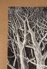 Radiohead King Of Limbs North American Tour 2012 1st Edition Of 2000 Poster Rare