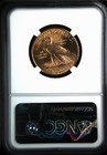  1926 G 10 Dollars Indian Head Eagle War Bonnet Near Gem Ngc Ms64 Highest Grades