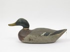 Attractive 20th Century Mallard Drake Duck Decoy Hand Painted   Weighted 16 5  L