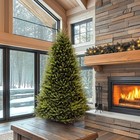 9ft Unlit Dunhill Fir Full Artificial Christmas Tree  4026 Tips includes Stand M