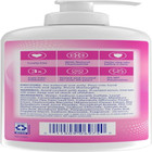 Vagisil Feminine Wash For Intimate Area Hygiene  Odor 16 9 Fl Oz  pack Of 1  