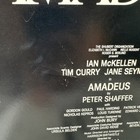 Orig Amadeus Broadhurst Theater Window Card Poster 14x22  Broadway Tim Curry