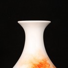 Chinese Qing Dynasty Qianlong Period Iron-red Porcelain Dragon Pattern Vases