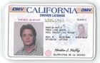 1985 Back To The Future Drivers License Prop Marty Mcfly Michael J  Fox    