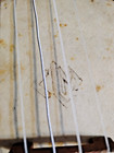 Banjo Ukulele    Unknown Year And Model   Look Vintage