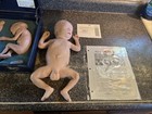 Nasco Lifeform Replicas Fetal Series Simulators Complete W  Silicone Infant