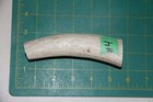 Small Upper Elk Antler Dog Chew  4   Bone Chews Moose Treats Deer 1011