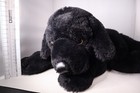 Fao Schwarz Black Labrador Retriever Dog 22    Stuffed Animal Plush Lab Puppy Htf