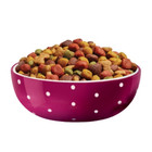 Purina Dog Chow Tender Crunchy Dry Dog Food With Real Beef   Rice Flavor - 15lbs
