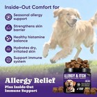 Dog Allergy Skin Relief Chews For Hotspot   Dry Skin  Itchy Skin Relief Suppleme