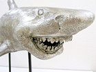 Contemporary Great White Shark Megalodon Resin Sculpture On Iron Base