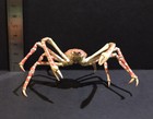 Yujin Takara Kaiyodo Retired Japan Exclusive Giant Spider Crab Figure