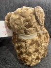 Vtg Avon 2002 Year Of The Teddy Bear 100th Anniversary  Talks  Pre-owned W tag