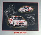 Dale Earnhardt Sr  Sam Bass    quick Silver    Poster New Still In Original Package