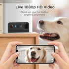 Bites 2 Lite Pet Camera  subscription Required 