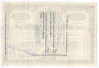 American Meter Company Stock Certificate