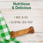Nylabone Healthy Edibles Natural Dog Chews Long Lasting Roast Beef Flavor Treats