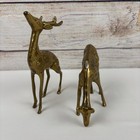 Brass Buck And Doe Deer Pair Vintage Figurines D  cor Taiwan
