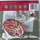 Christmas Amaryllis Winter Series Counted Cross Stitch Glass Bead Mill Hill