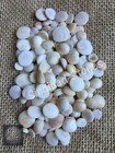 Khirzat Al Atf  Bahri Atf Beads - Mar Mahra 10                                                  