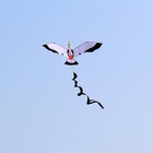 Seagull Kite Single Line Kites Giant Huge With Flying Tools For Park Children