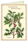 Cavallini   Co  Christmas Holly Glittered Greetings Boxed Notecards