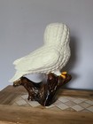Rare Large Vtg Ceramic White Snowy Owl On Stump 15   