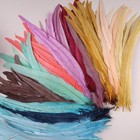 100pcs Rooster Tail Feathers Natural Craft Plumes Carnival Decoration Diy