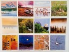 2018 Audubon Nature A Birder s Calendar 12   12  Hangable  Frameable Wall Art Nip