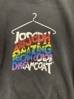 1996 Vintage Joseph And The Amazing Techn Color Dreamcoat Sweatshirt 