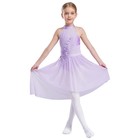 Girls Dancewear High-low Chiffon Splice Skirted Fancy Skating Ballet Dresses
