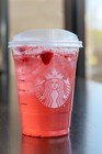 New - Starbucks Strawberry Acai Refresher  Base 4x Concentrate